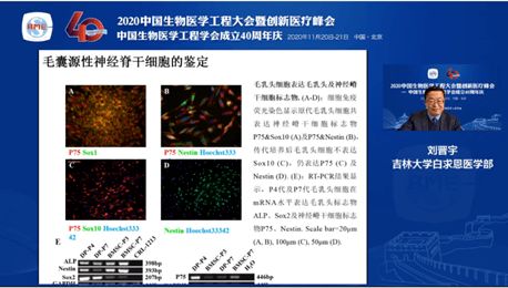 2020中國生物醫(yī)學工程大會暨創(chuàng)新醫(yī)療峰會 干細胞工程技術分會論壇——生物技術研究與開發(fā)